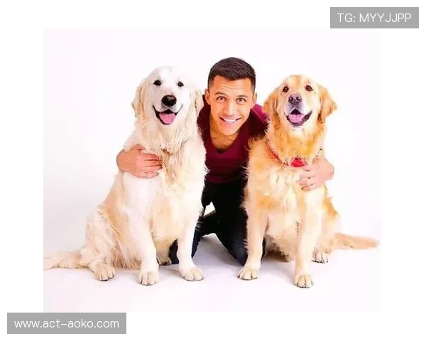 足球明星如何通过科学睡眠提高竞技状态与表现